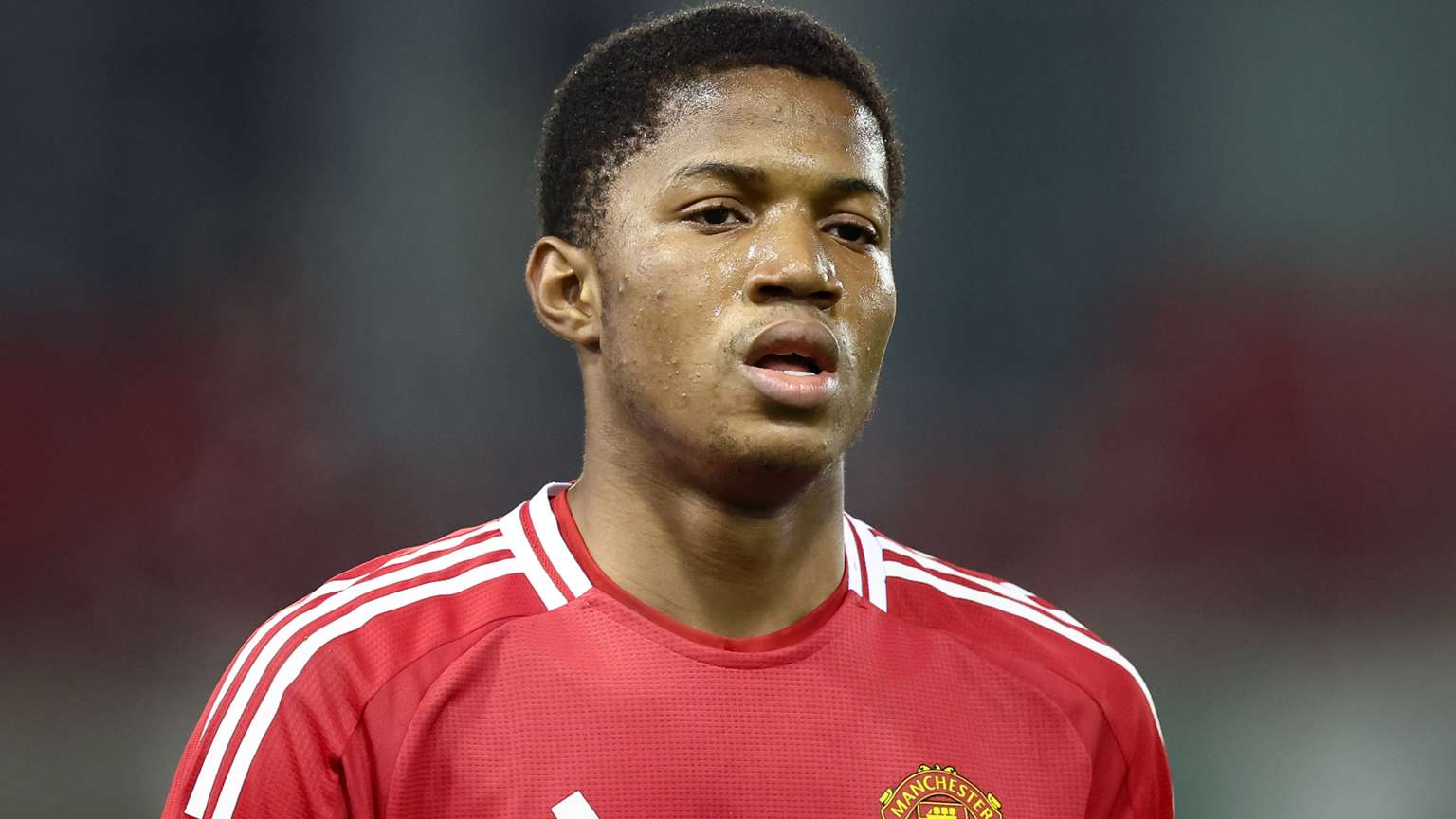 年夺冠后的 年夺冠后的