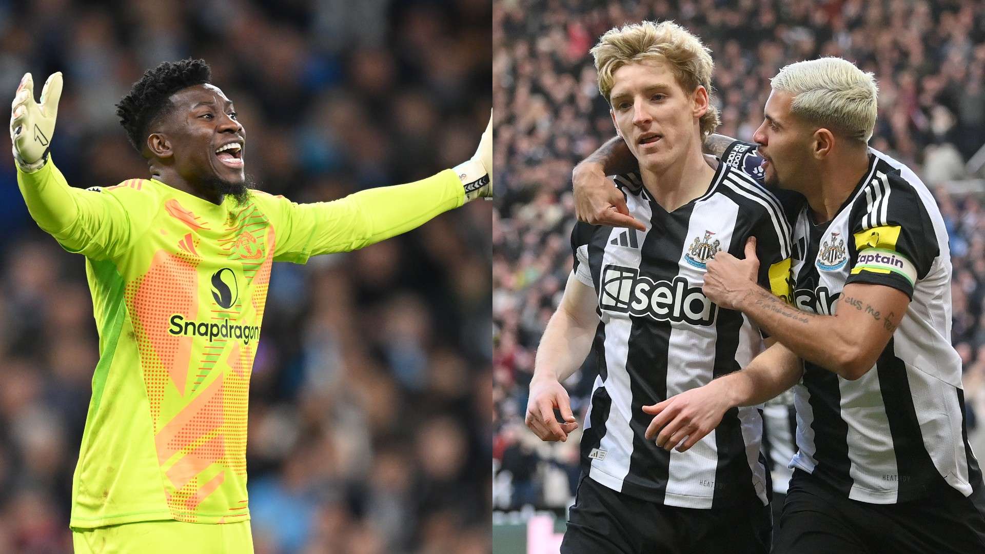 具备良好的 具备良好的